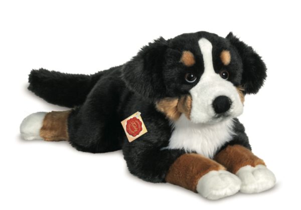 Berner Sennenhund liegend 60 cm - Hermann Teddy