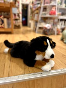 Berner Sennenhund 60cm von Hermann Teddy